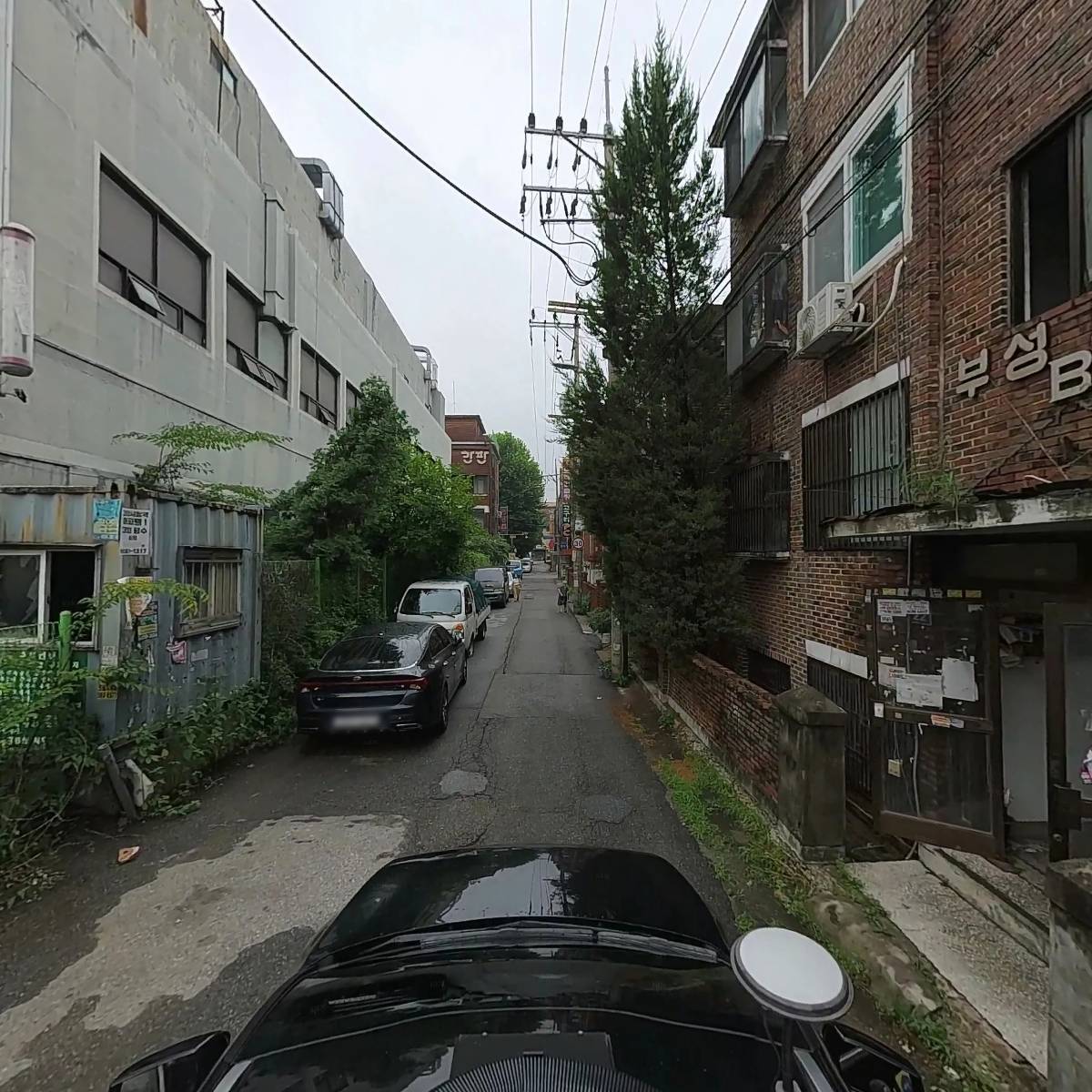 유현성_4