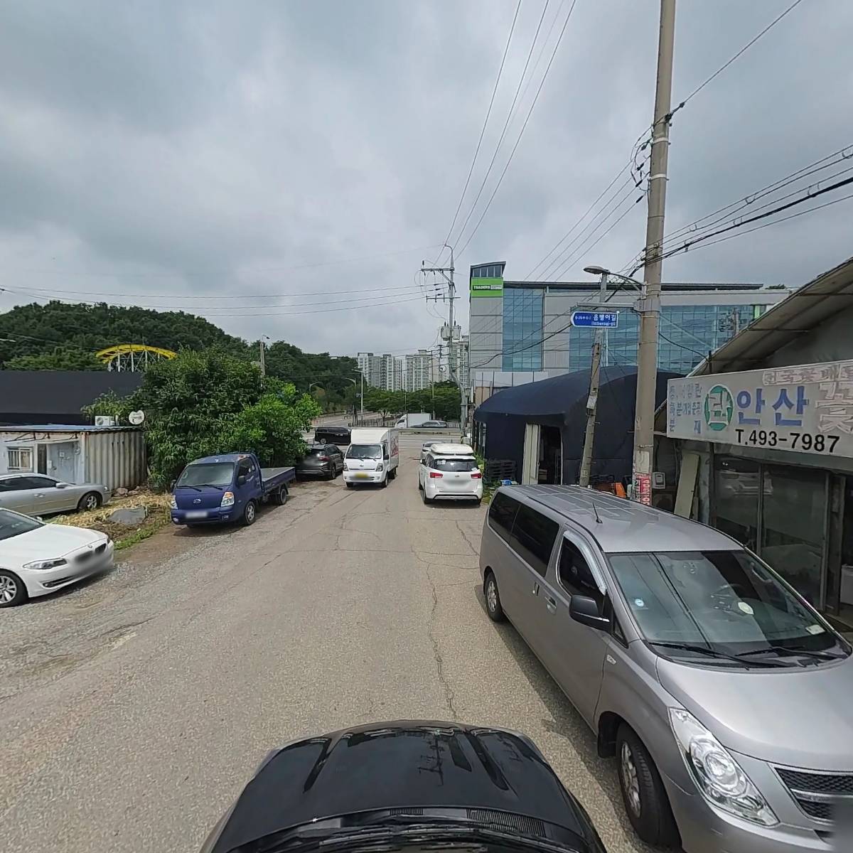 모닝플라워_4