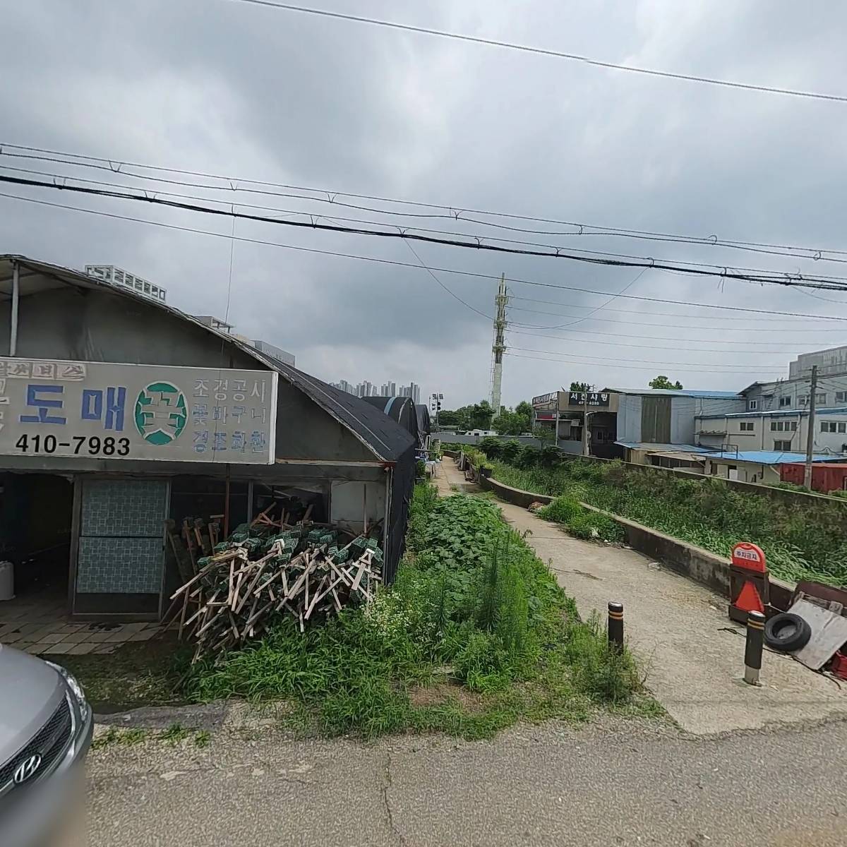 모닝플라워