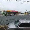 선도씨푸드