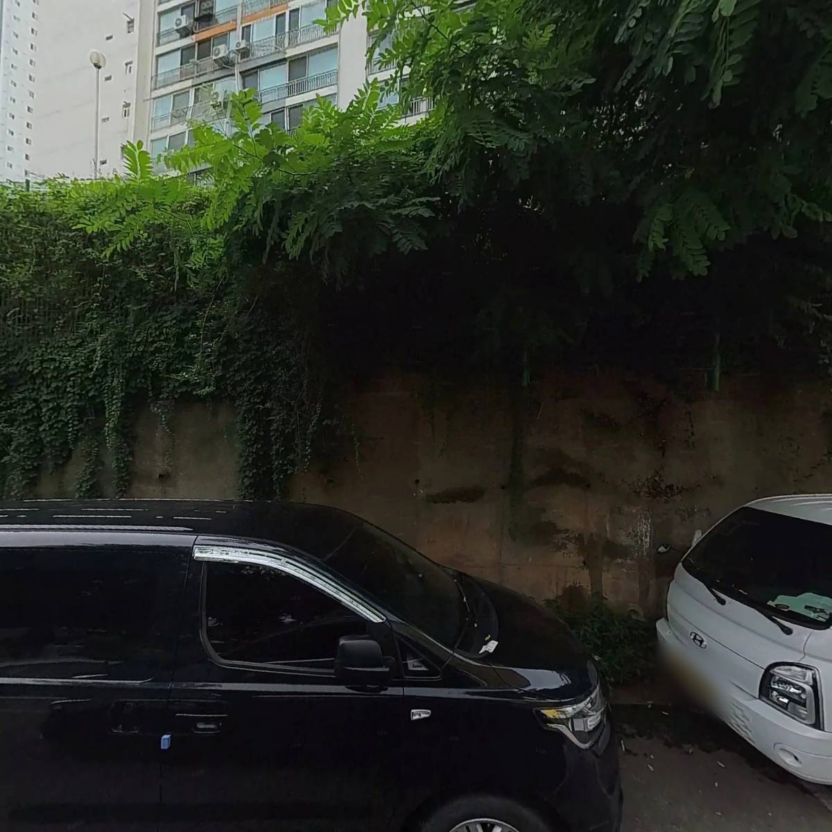 맑은샘음악학원