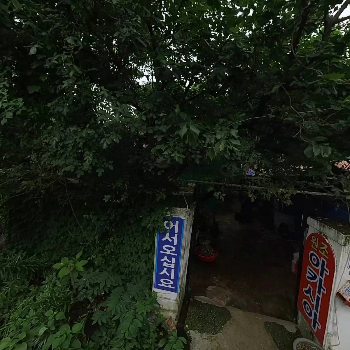 가나무역_3