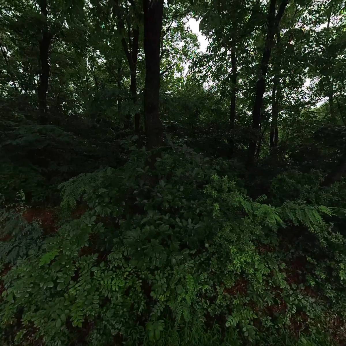 기쁨 하우징_3