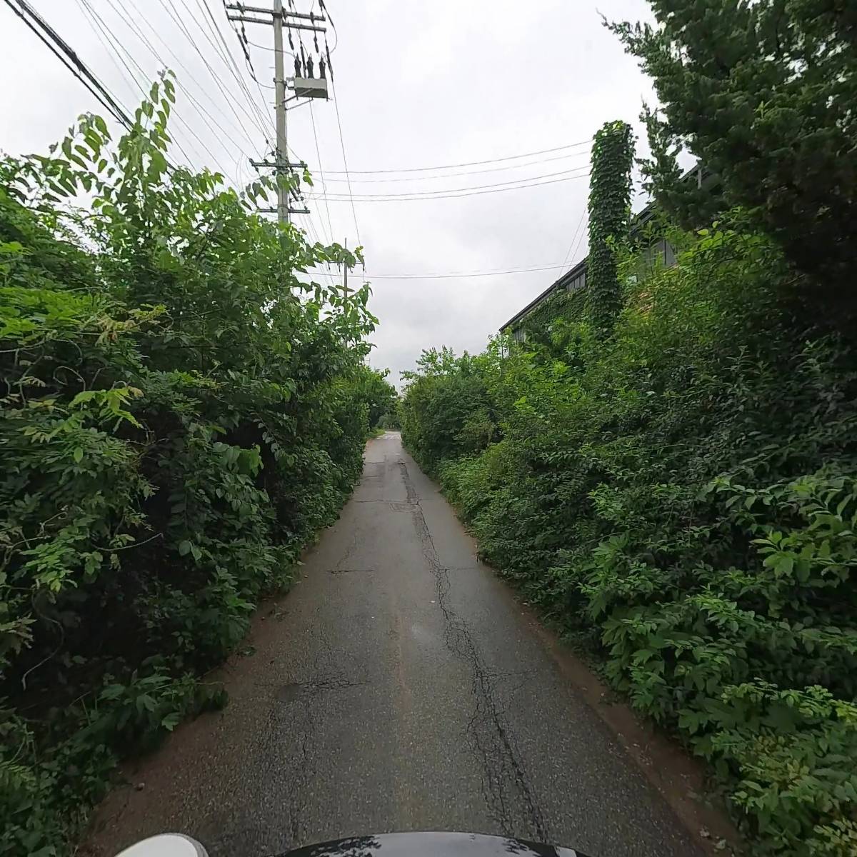 삼일바인더_2