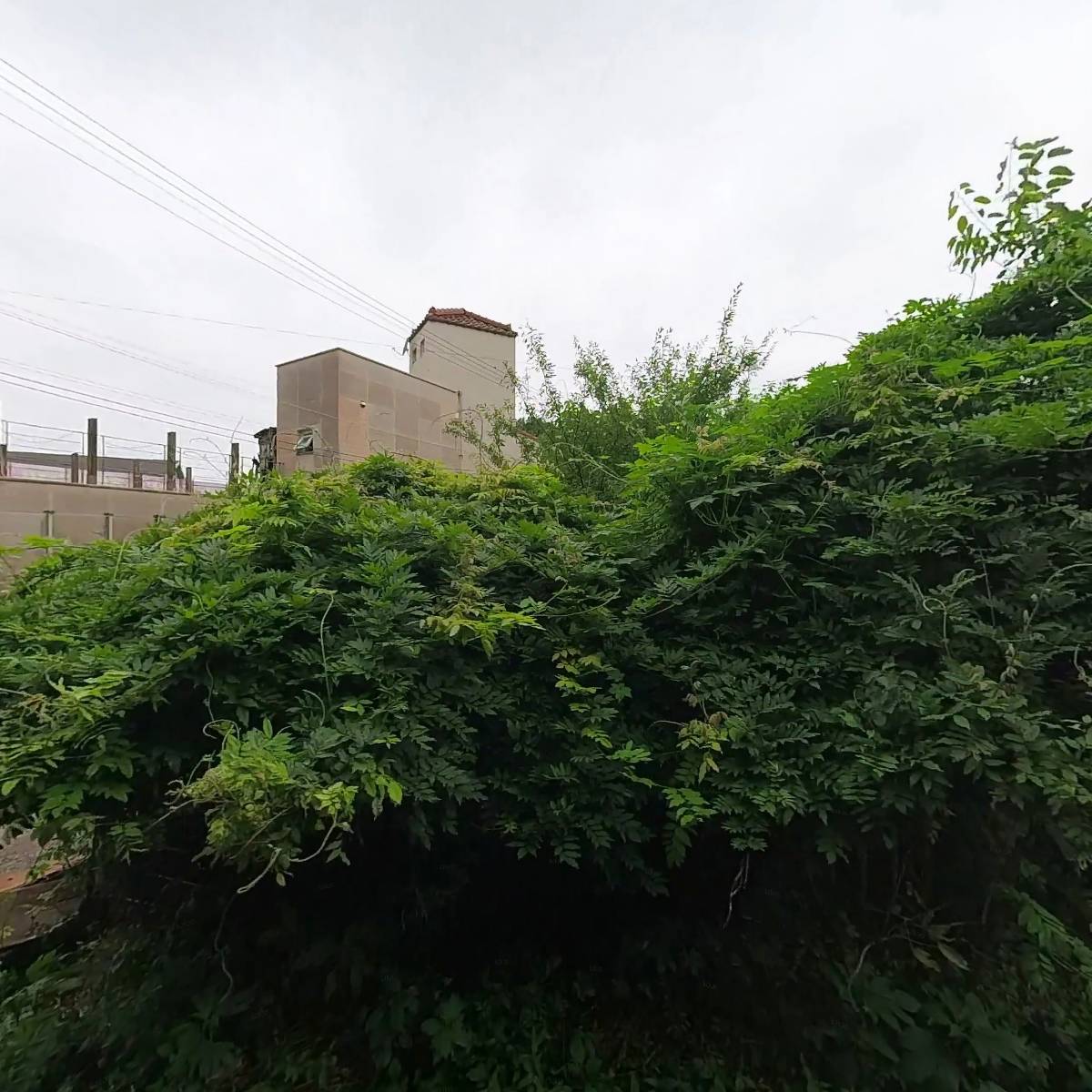 삼일바인더