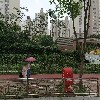 대한불교조계종 서봉사