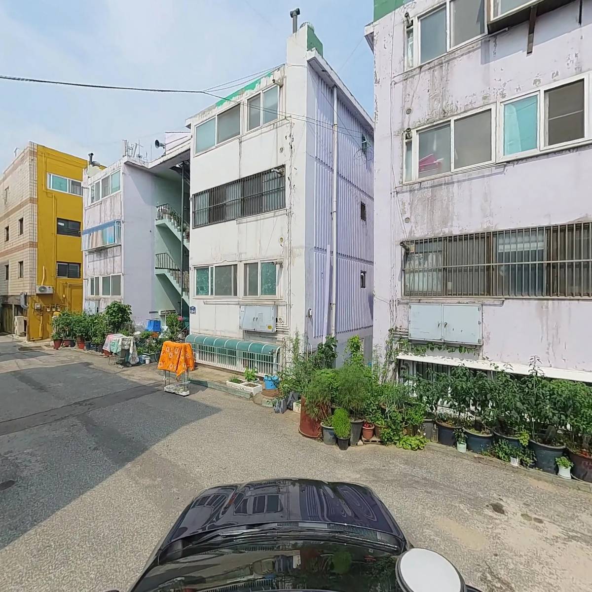 진유통_4