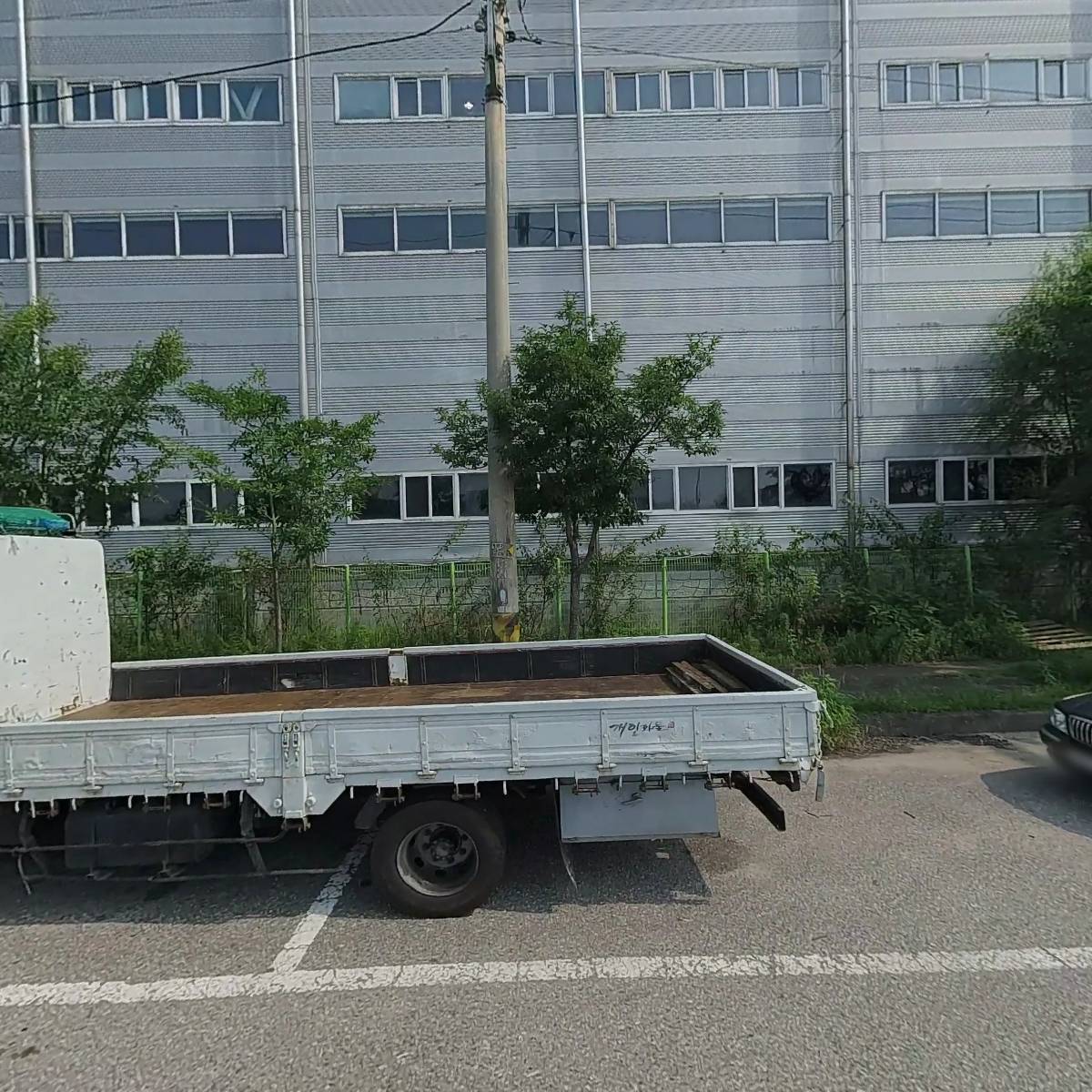 래오