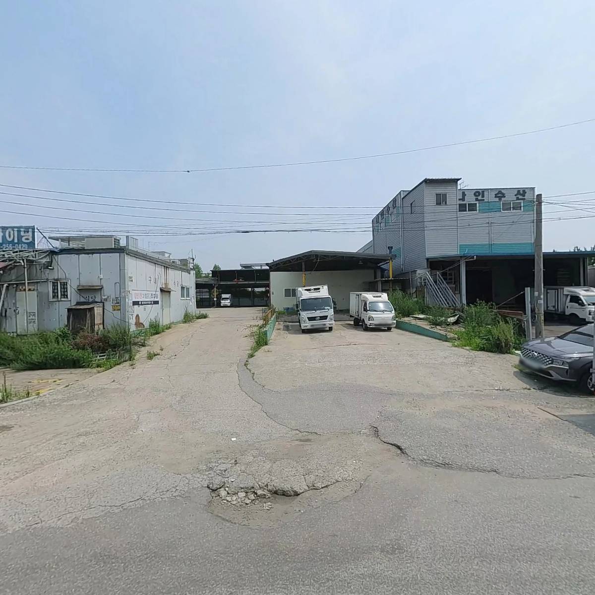 서일스프링（GMS）