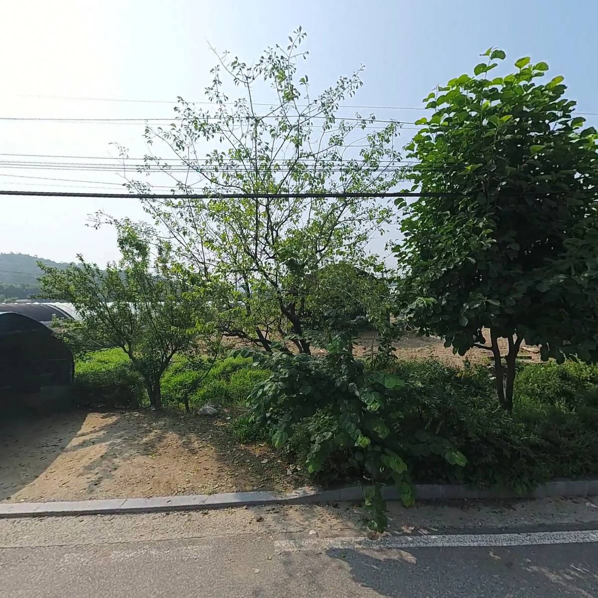 상상플라워마켓