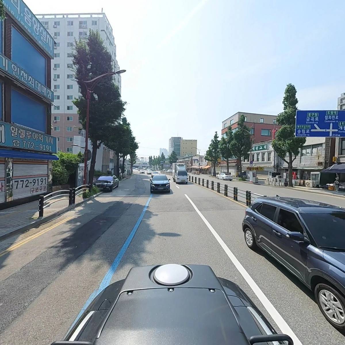 오독앤캣 고양이 안심분양센터 인천점_2