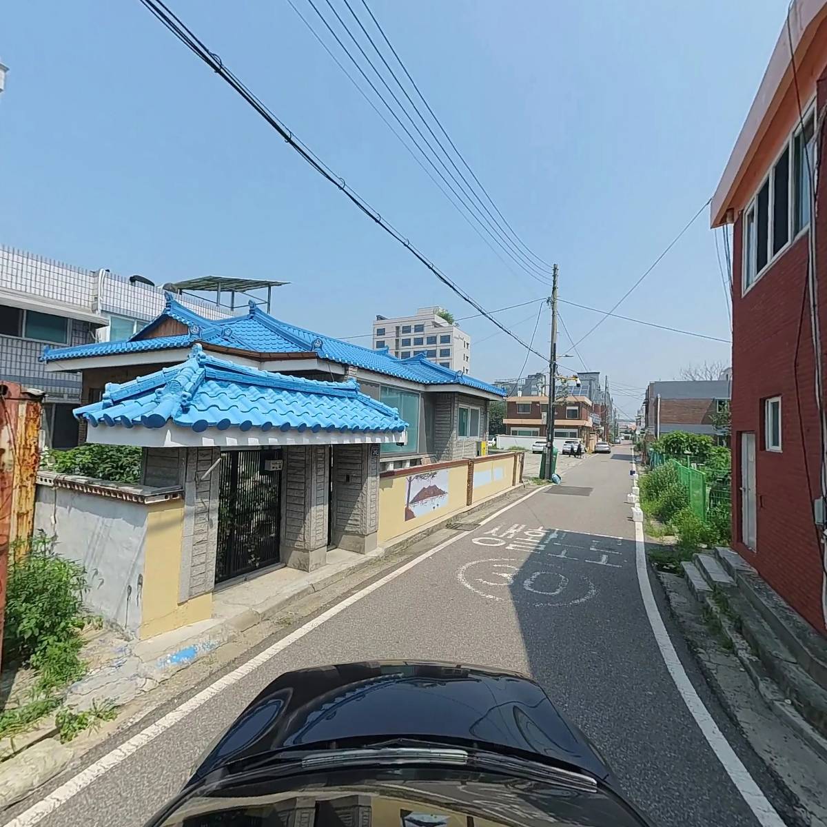 루치스코리아(LUCIS KOREA)_4