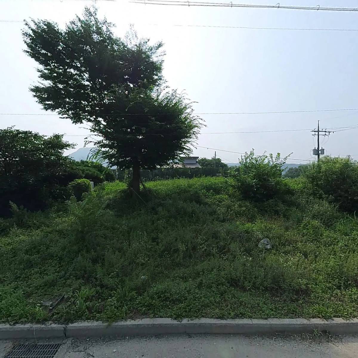 더(The) 쌍송
