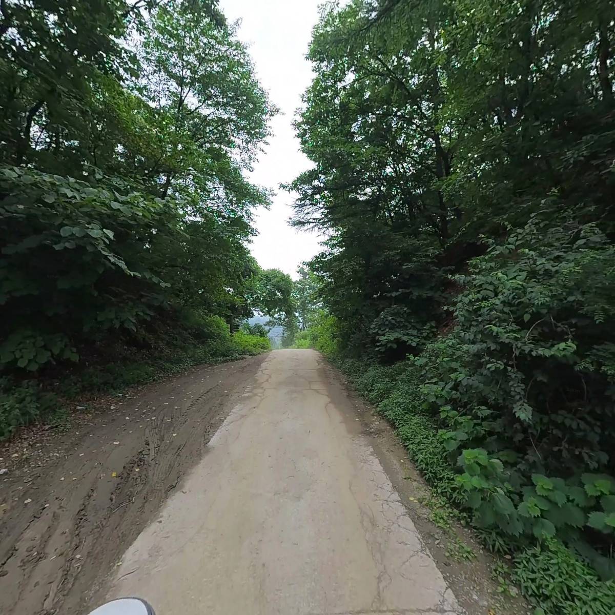 동부컨테이너_2