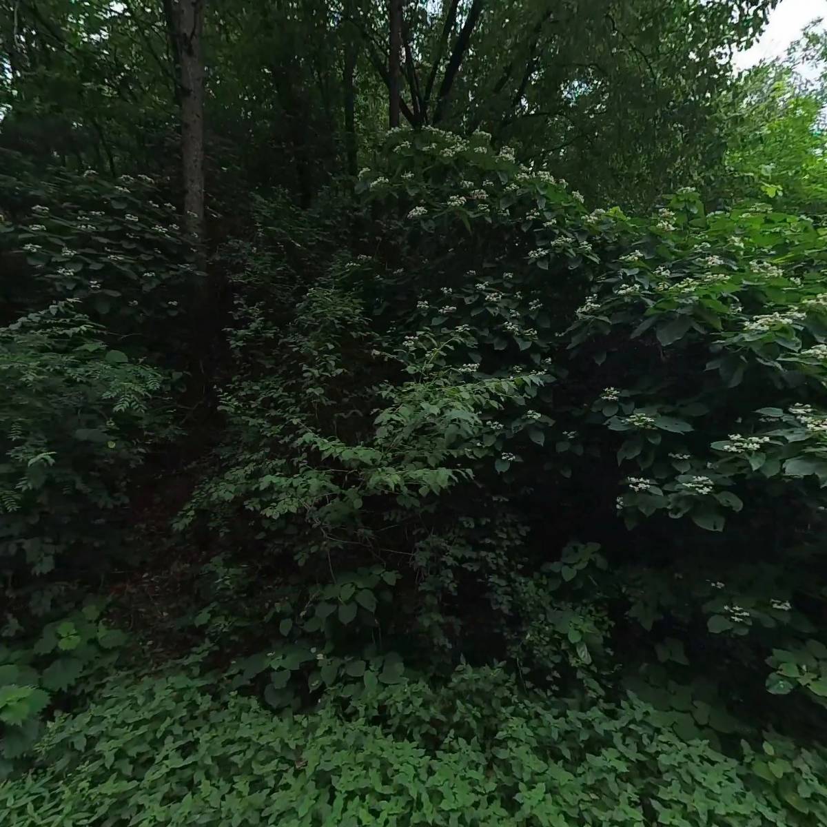 동부컨테이너_3