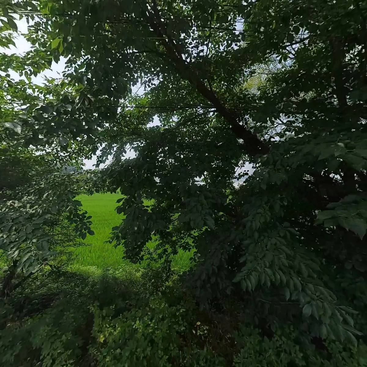 재이농원_3