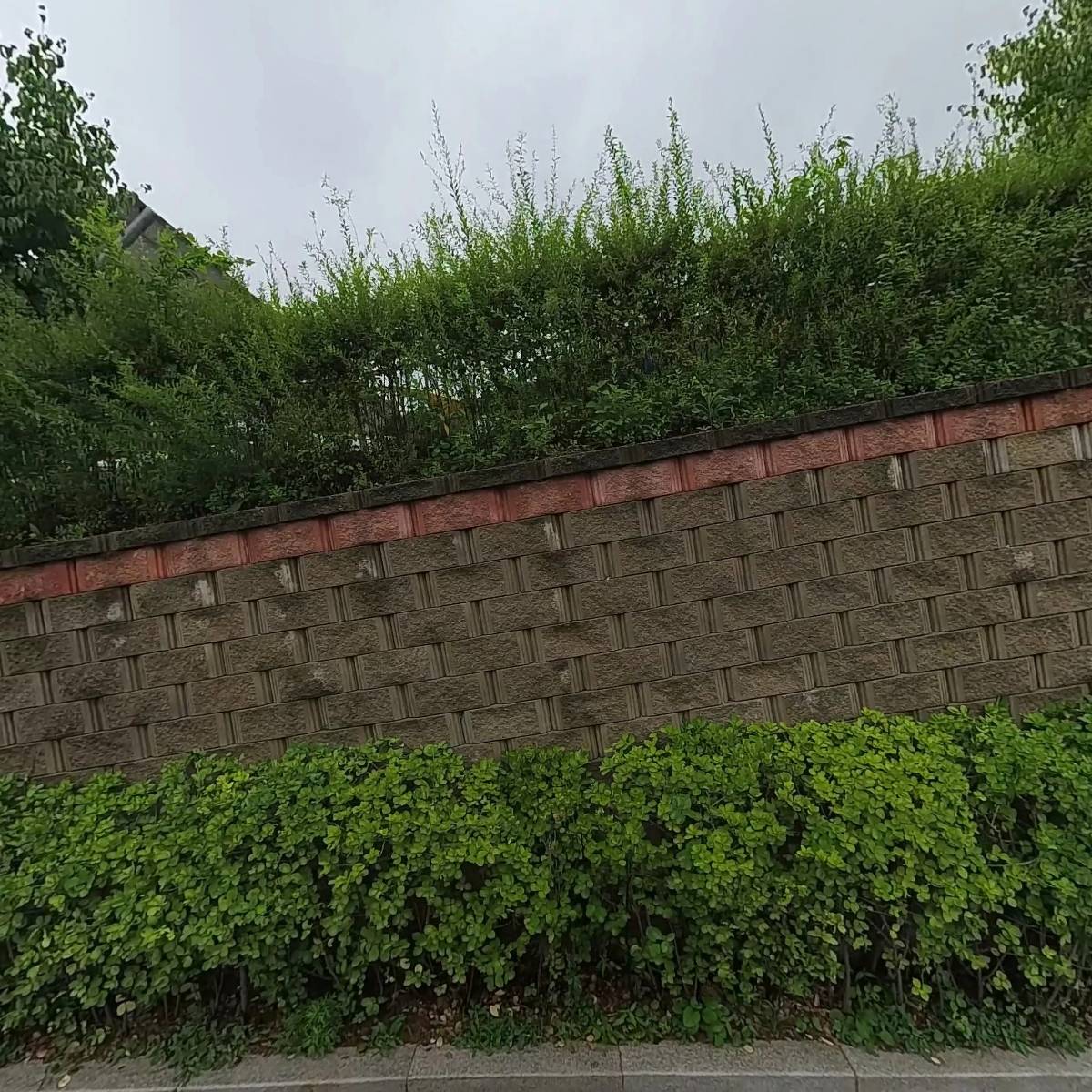 솔로