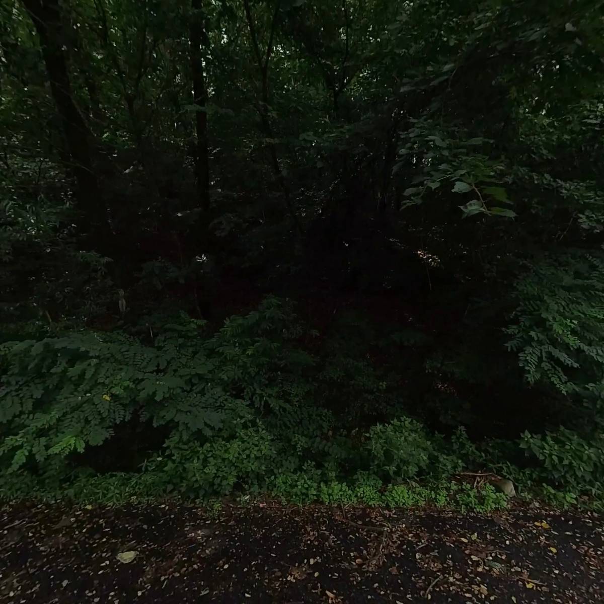 송림골프연습장