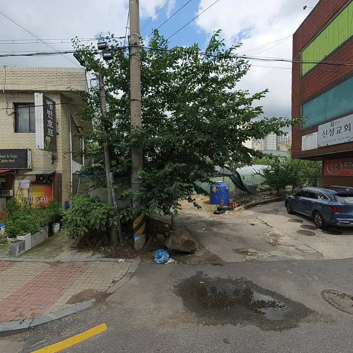 시사광주