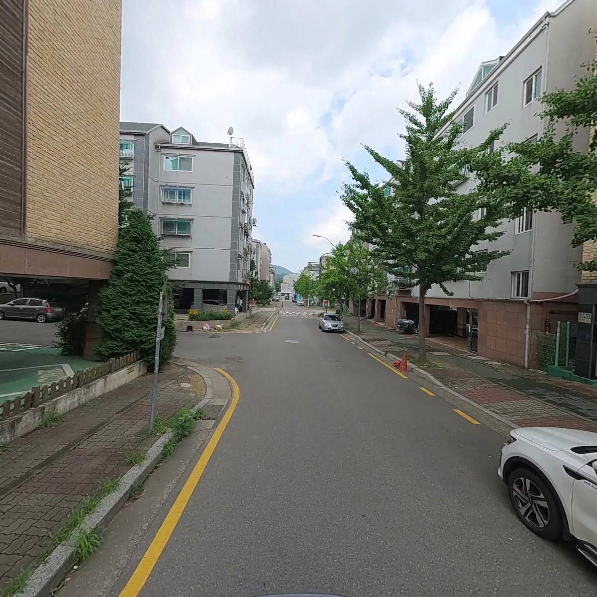 리베어코리아_2
