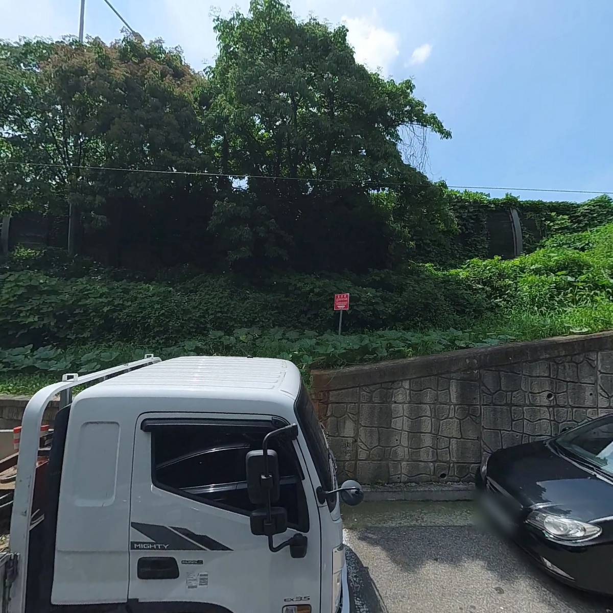 리뷰의소리&핑크하마