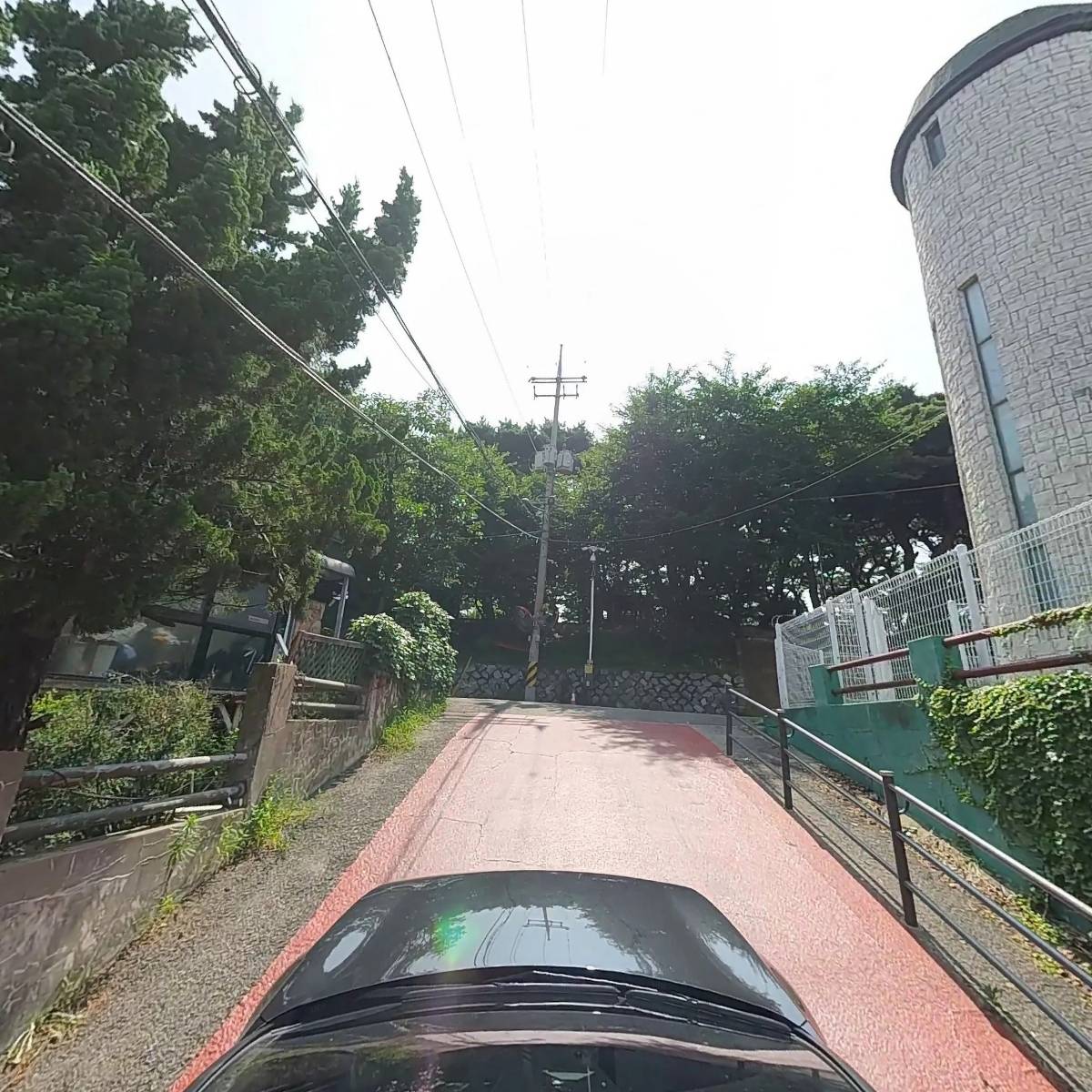 주식회사루나펫_4