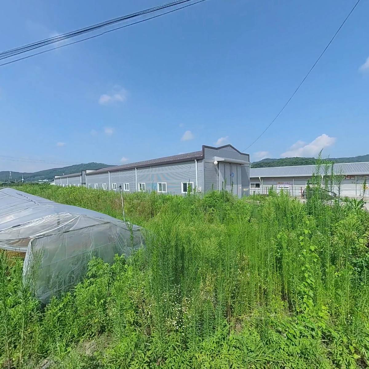 내추럴발란스