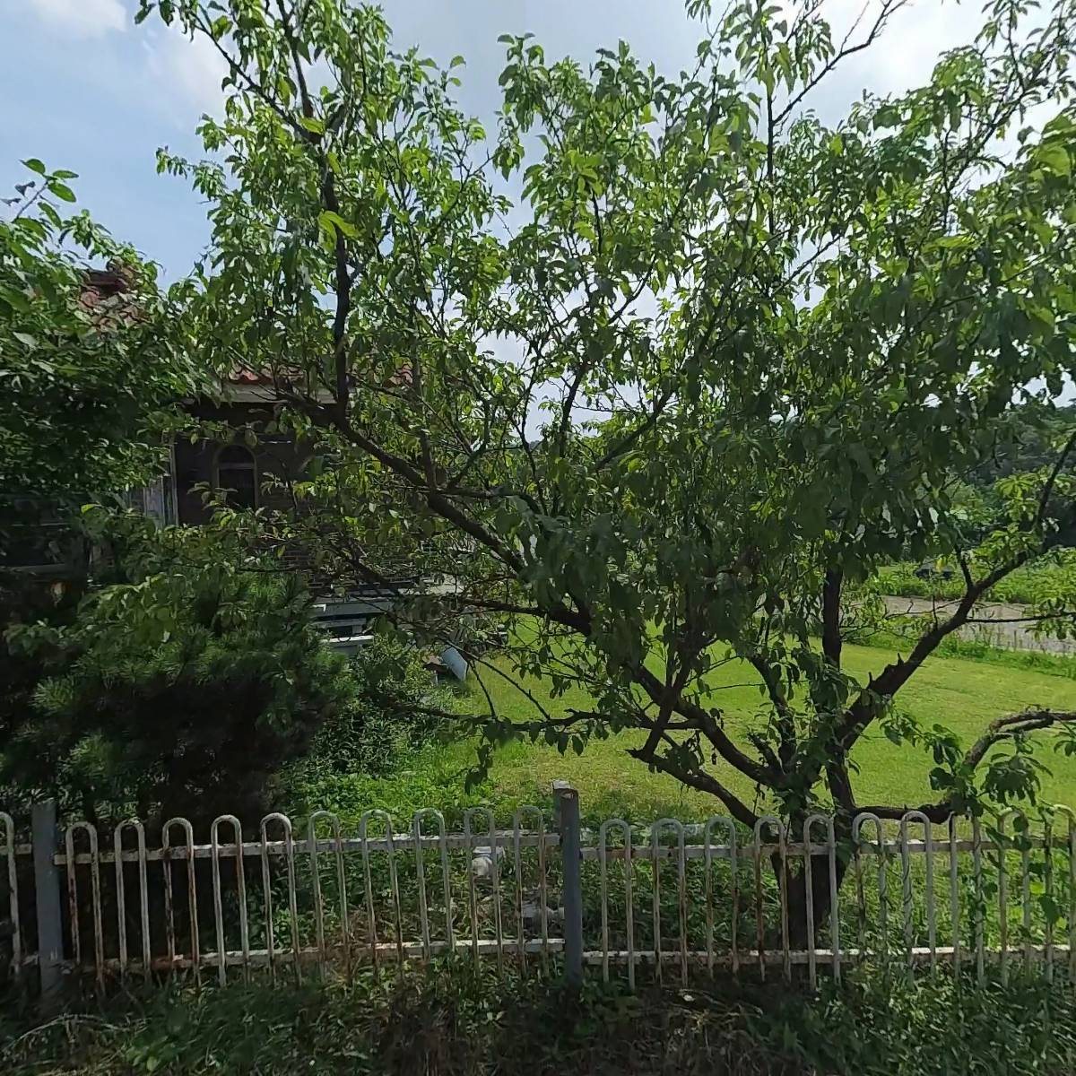 주식회사 파이널위즈