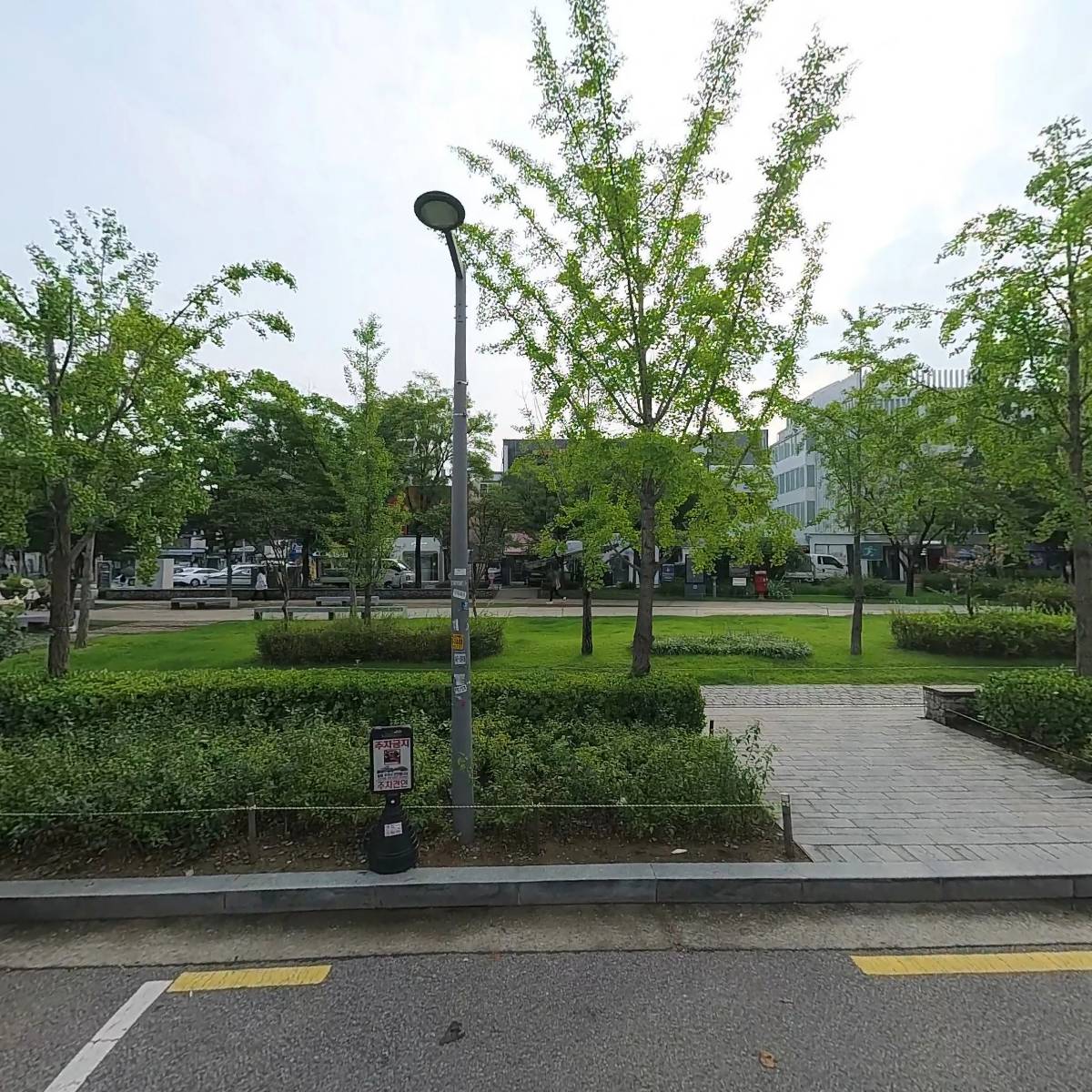 폴린루이즈(Pauline Louise)