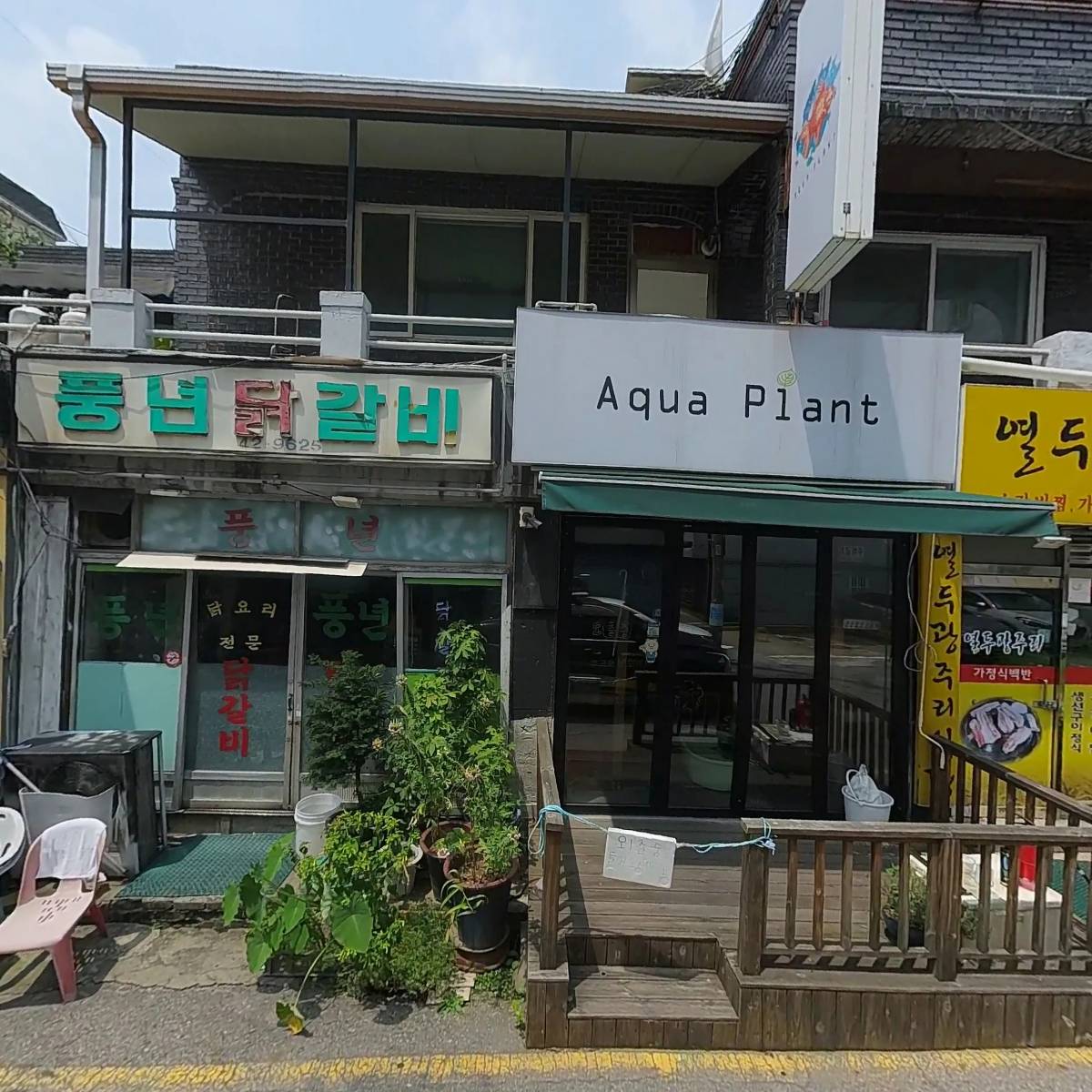 아쿠아 플랜트(Aqua plant)_3