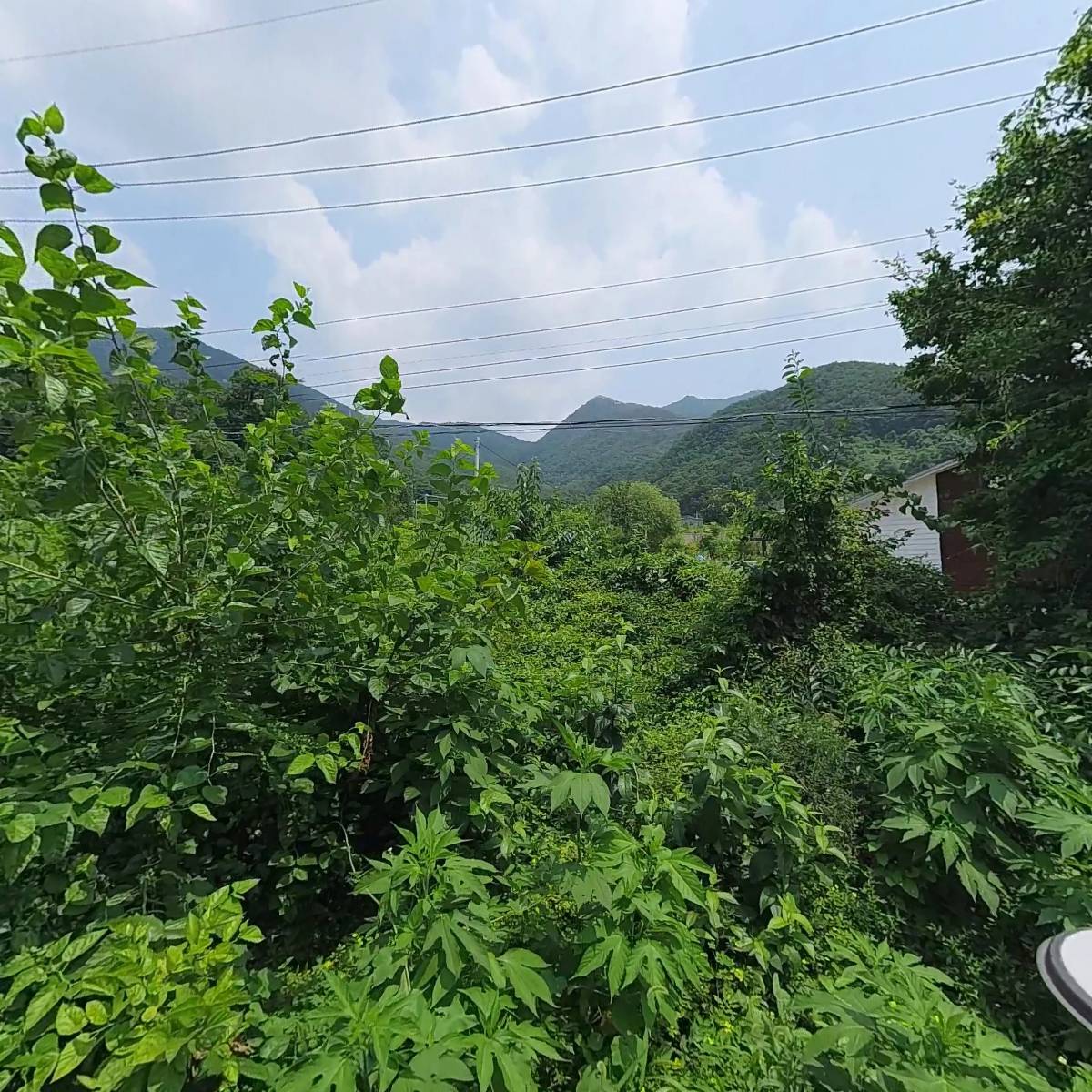온고재