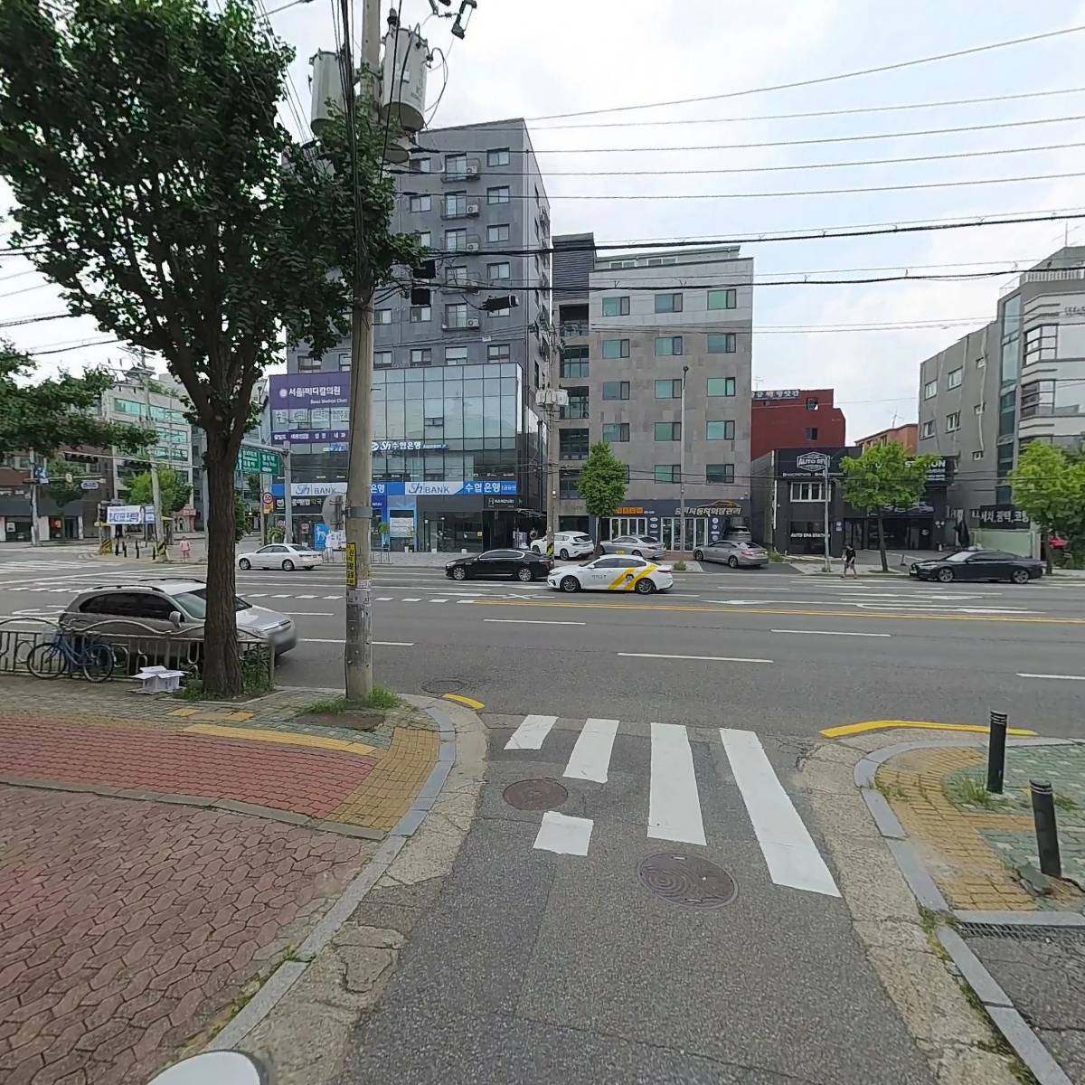 서울강남초등학교 총동문회_2