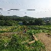 호연냉동_3