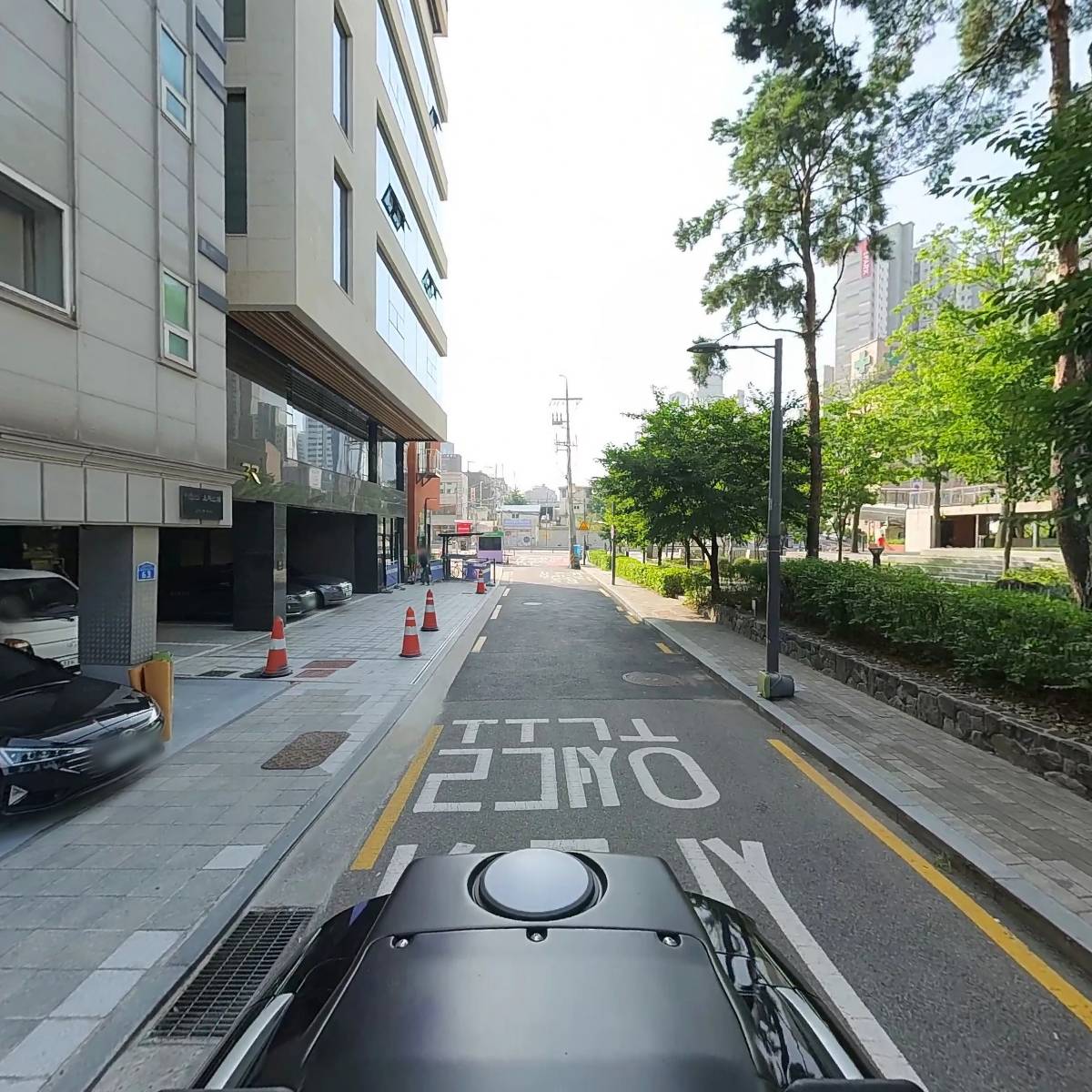 당톡_2