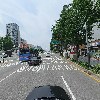 앨리스_4