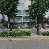 앨리스