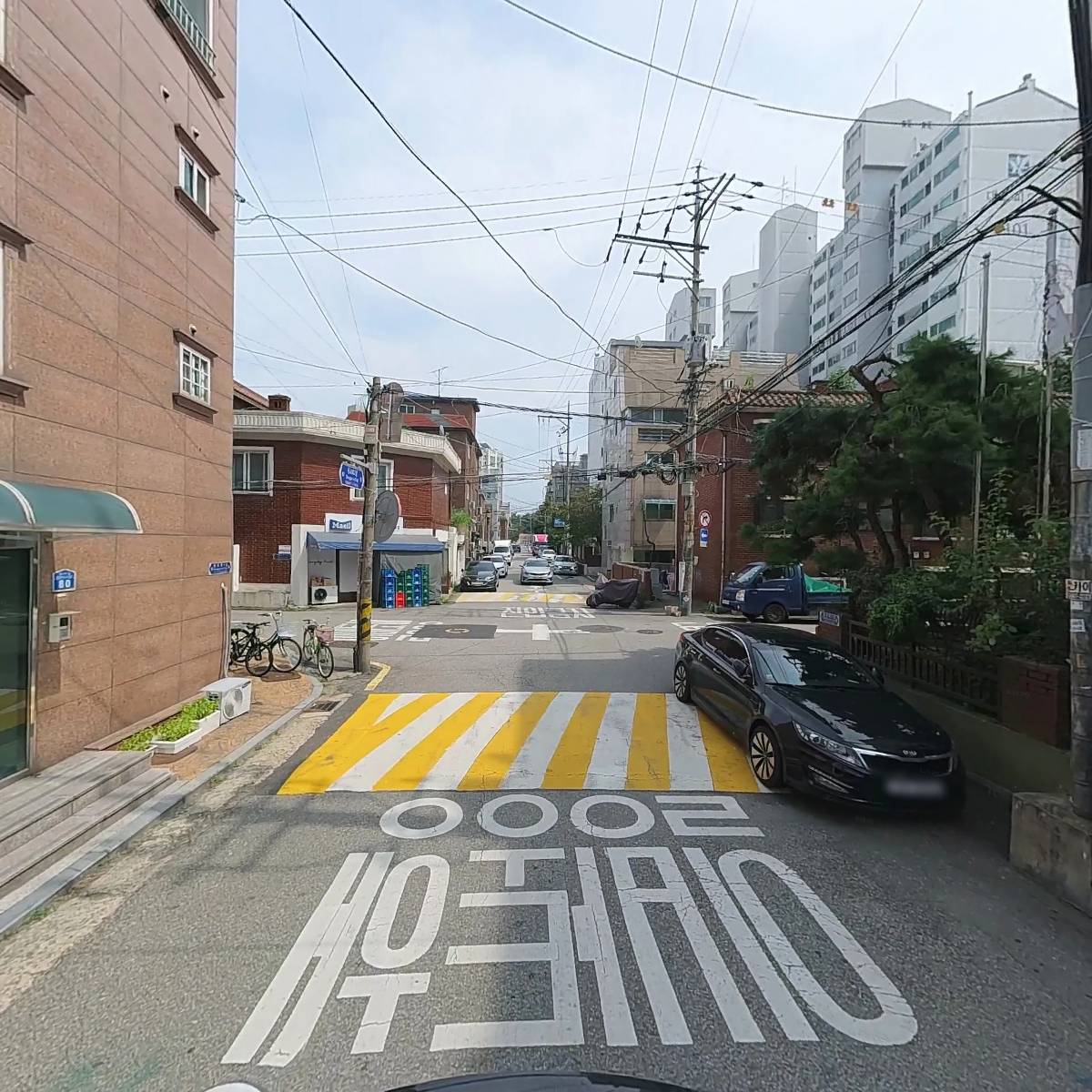 몬더그린_2