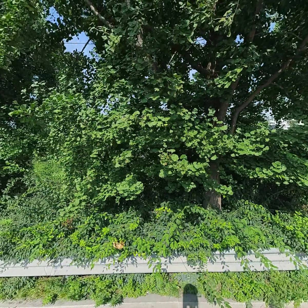 주식회사 희망자원