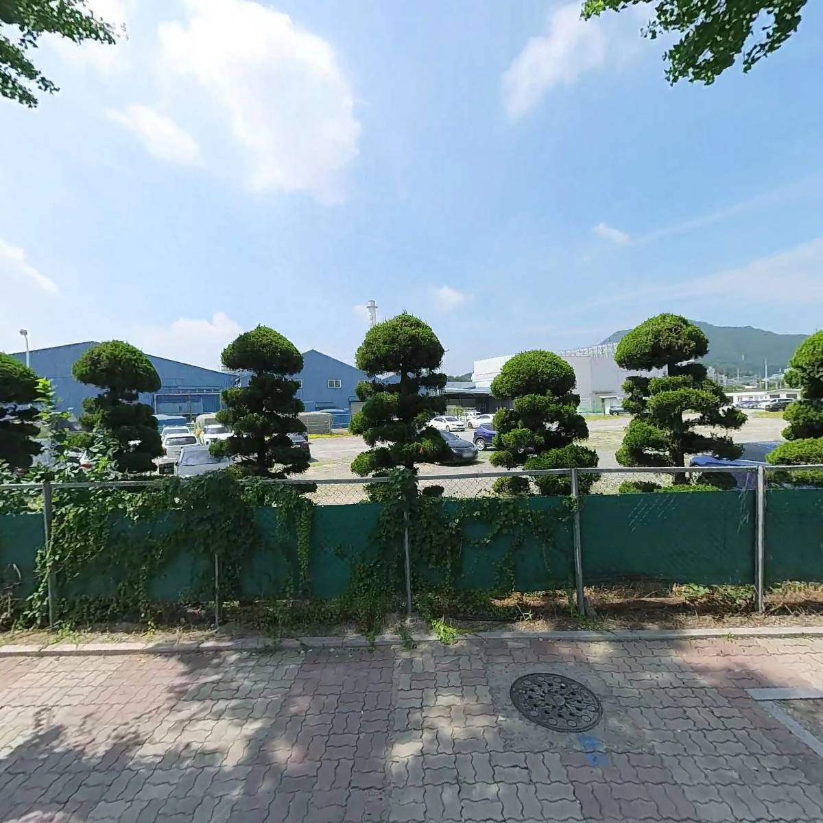엘엠디지털주식회사