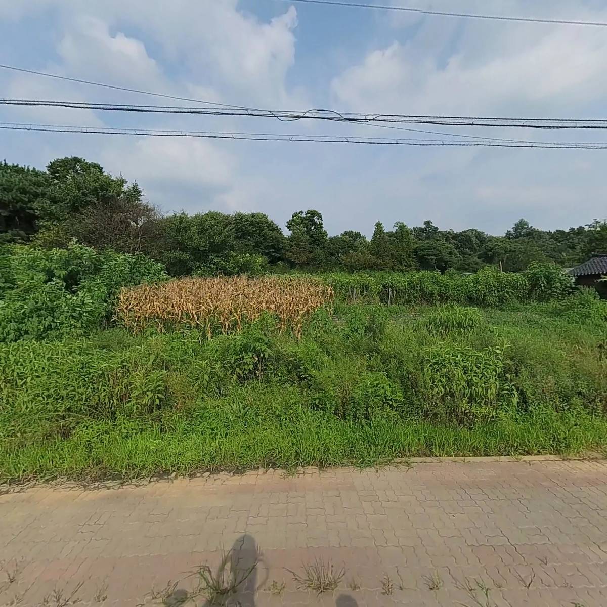 (주)에이케이상사