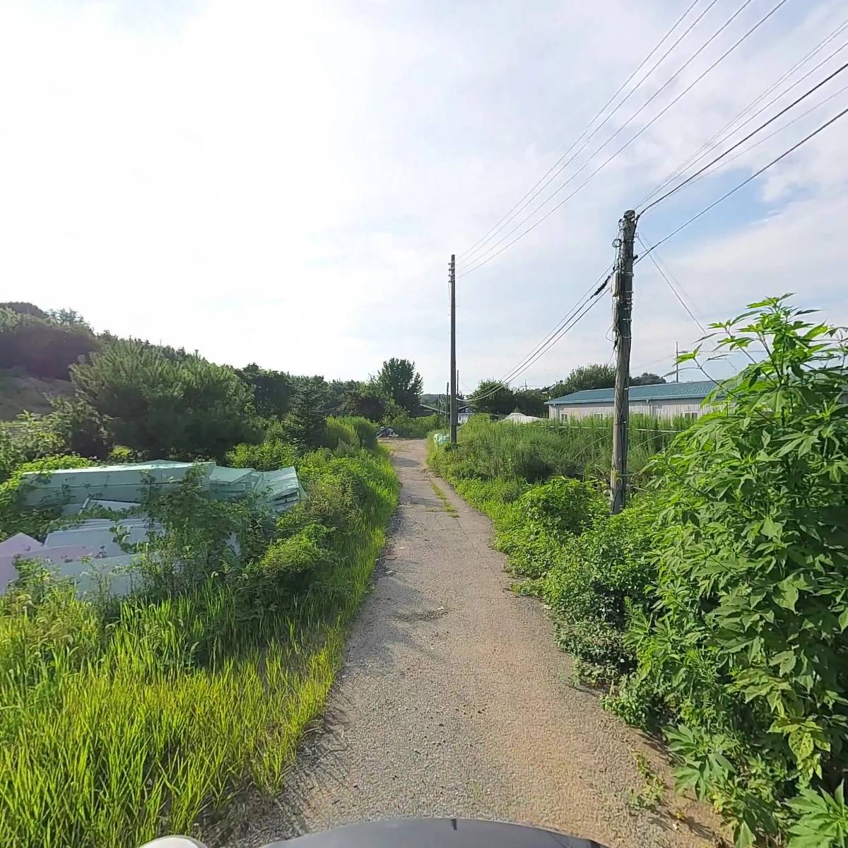 임춘례_2