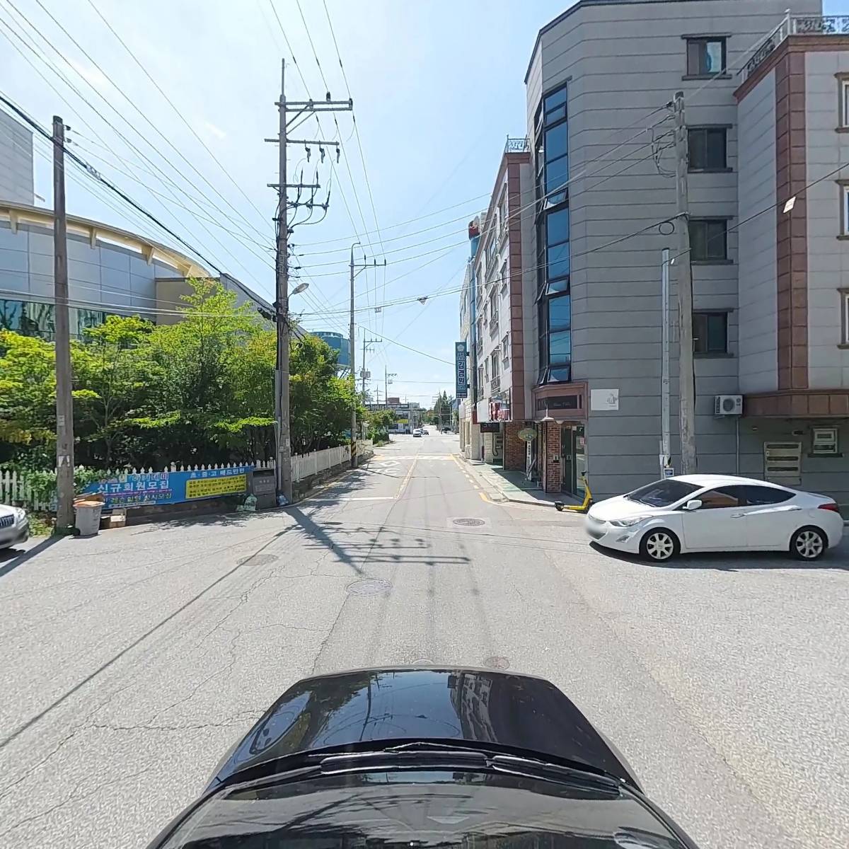 닭이 돈돼지_4