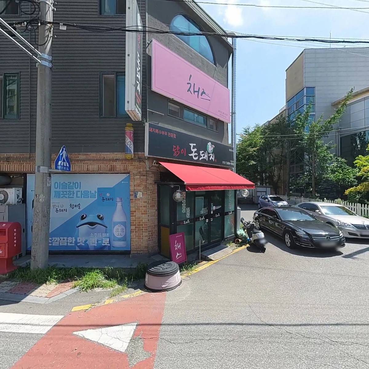 닭이 돈돼지_3