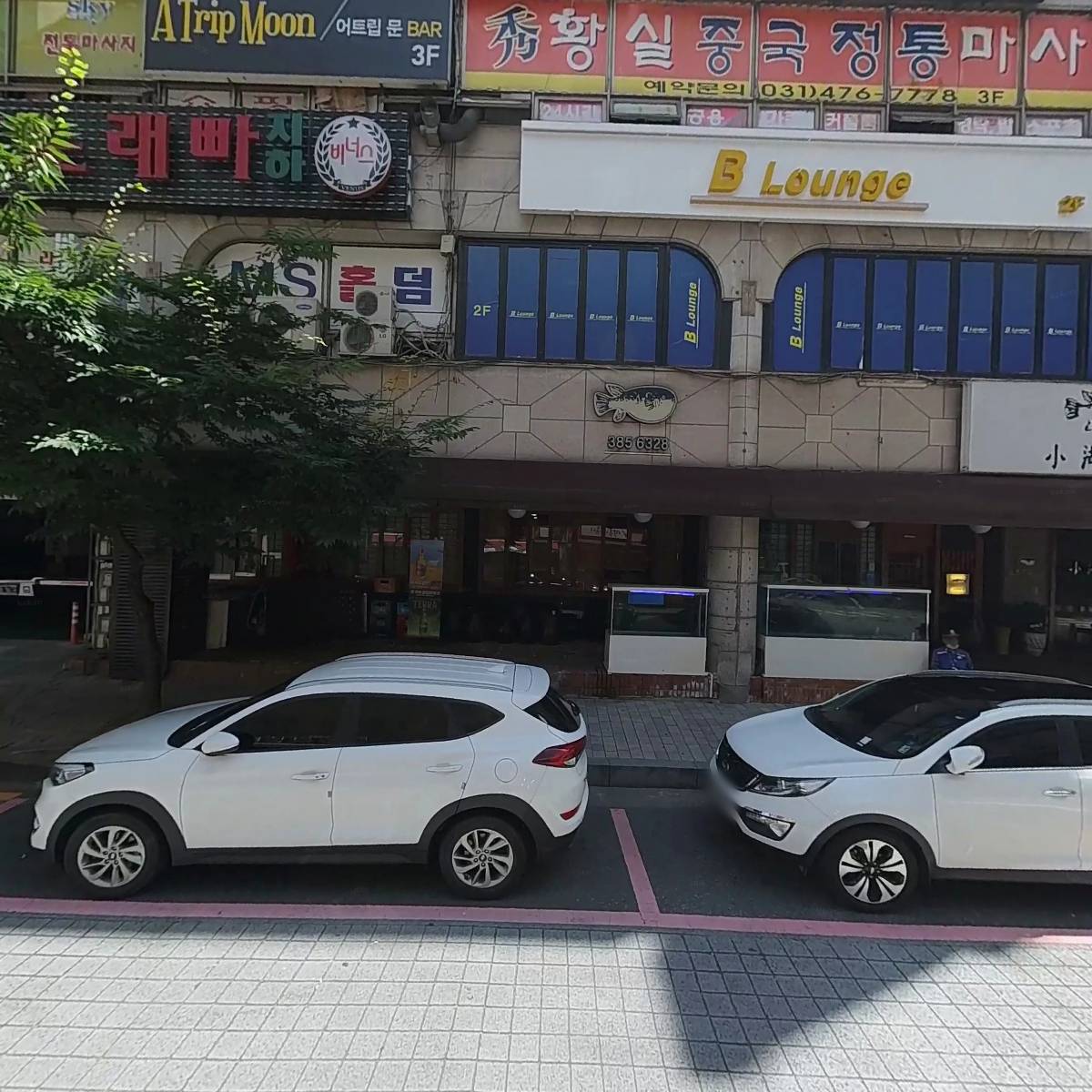 해조_3