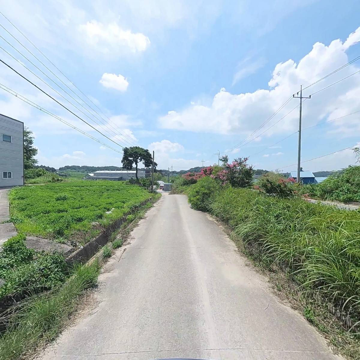 대한민국고엽제전우회_2