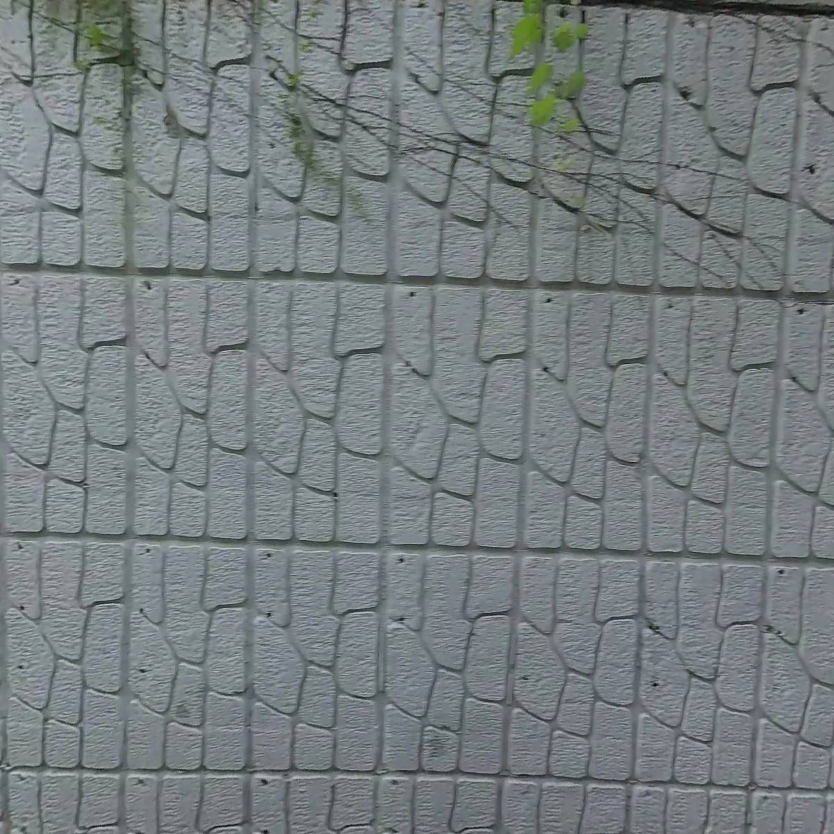 카보드에듀