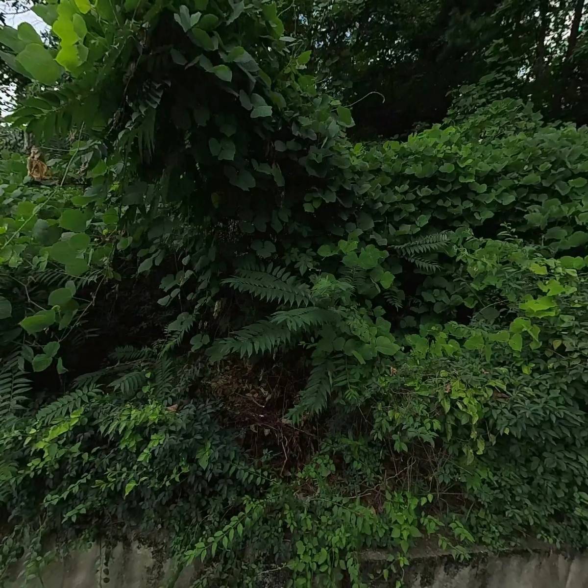 (주)우일산업_3