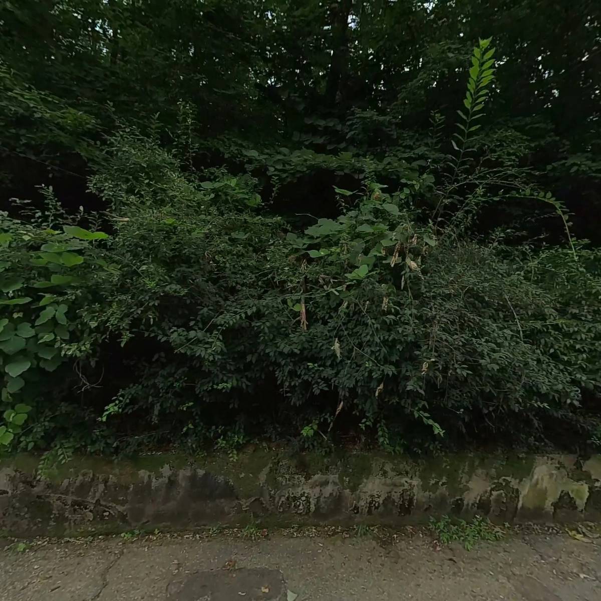 (주)씨케이푸드_3