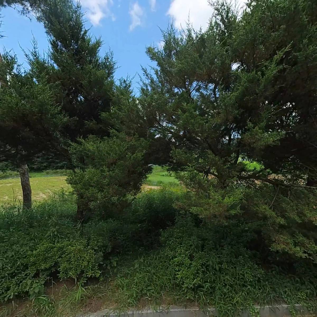 골드인마켓