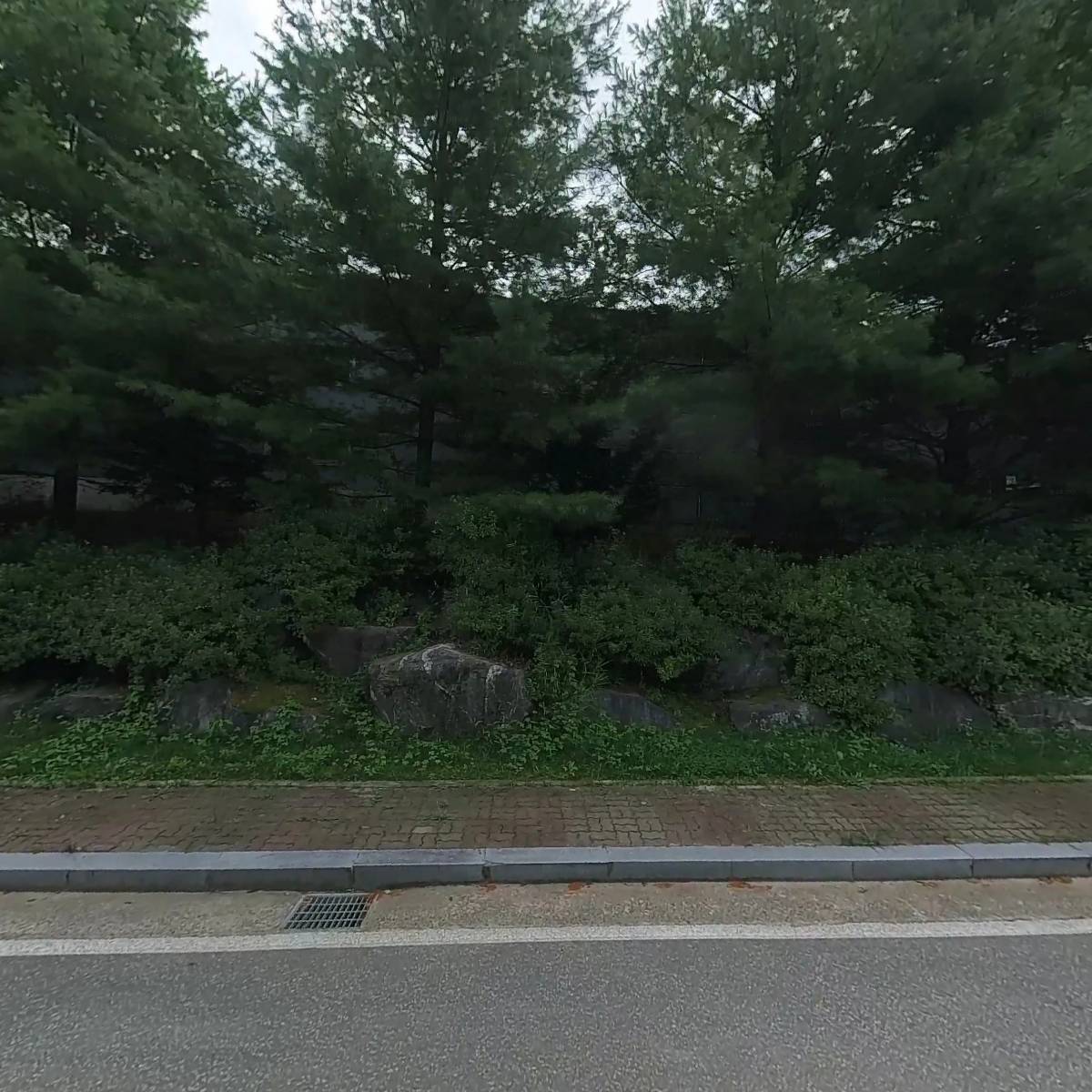골드인마켓_3